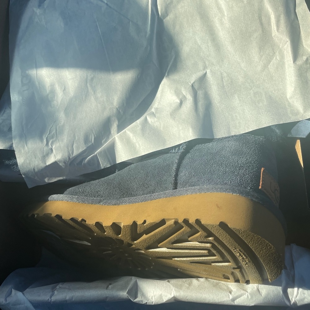 Ugg shoe